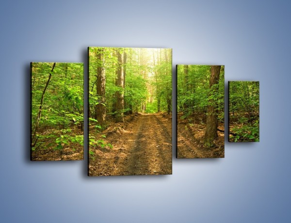 Obraz na płótnie – Leśną drogą jak z filmu – czteroczęściowy KN324W4