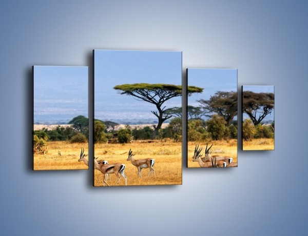 Obraz na płótnie – Antylopy w słonecznej afryce – czteroczęściowy Z003W4
