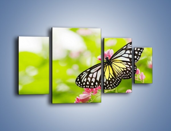 Obraz na płótnie – Motyl w letni poranek – czteroczęściowy Z004W4