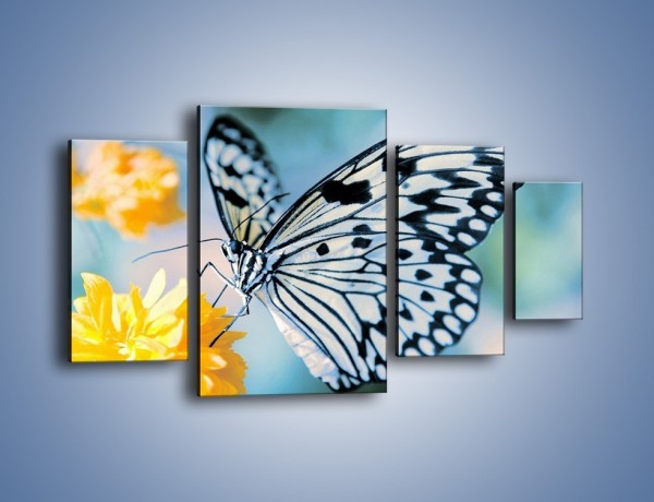 Obraz na płótnie – Motyw zebry w motylu – czteroczęściowy Z010W4