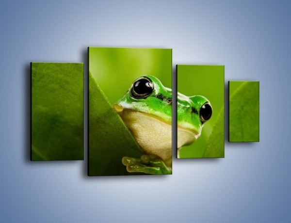 Obraz na płótnie – Zielony świat żabki – czteroczęściowy Z014W4