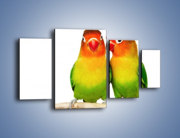 Obraz na płótnie – Sekrety uśmiechniętych papug – czteroczęściowy Z017W4