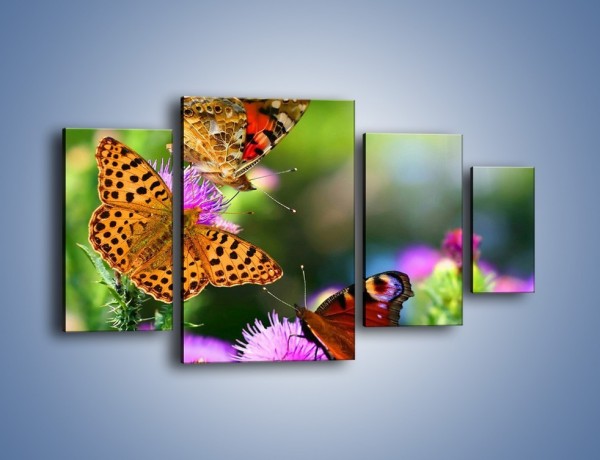 Obraz na płótnie – Świat kolorowych motyli – czteroczęściowy Z053W4