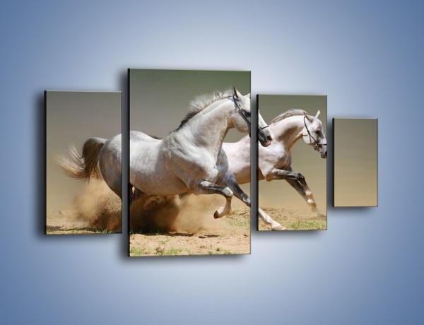 Obraz na płótnie – Białe konie w pustynnym galopie – czteroczęściowy Z055W4