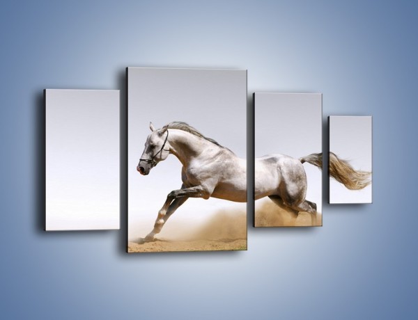 Obraz na płótnie – Srebrny koń w galopie – czteroczęściowy Z062W4