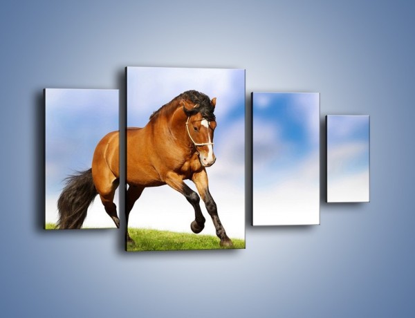 Obraz na płótnie – Przejażdżka na brązowym koniu – czteroczęściowy Z064W4