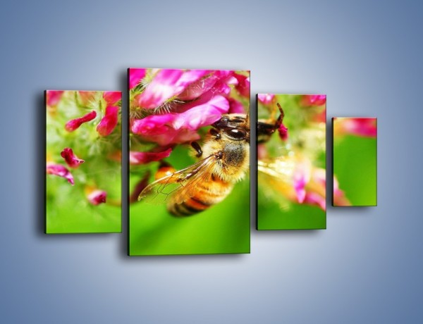 Obraz na płótnie – Pszczoły kochają kwiaty – czteroczęściowy Z065W4