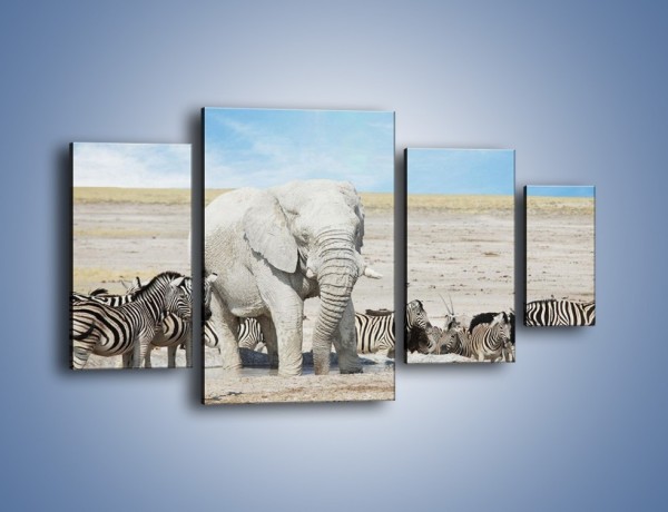 Obraz na płótnie – Słoń i jego przyjaciele – czteroczęściowy Z080W4