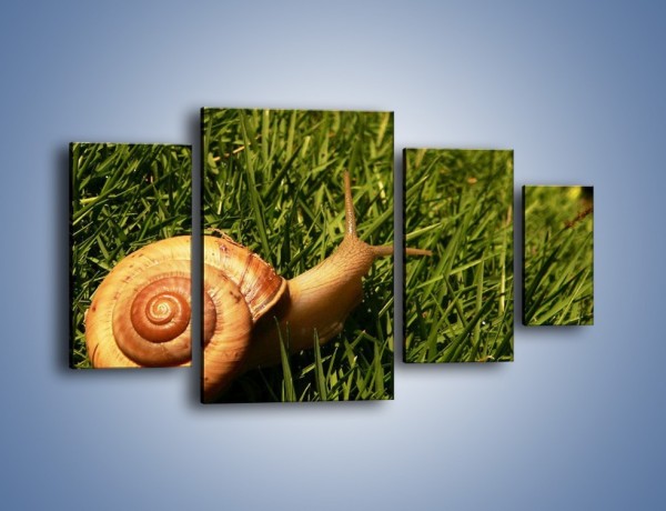 Obraz na płótnie – Z ślimakiem przez łąkę – czteroczęściowy Z103W4