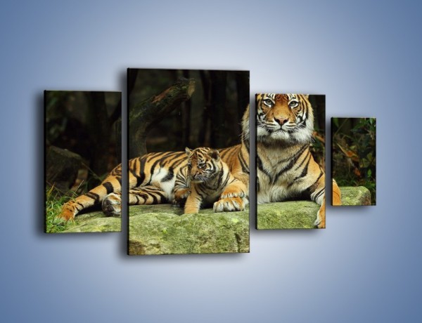 Obraz na płótnie – Tygrysia mamusia z maleństwem – czteroczęściowy Z138W4
