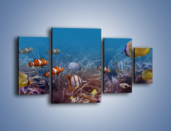 Obraz na płótnie – Ocean i jego kolorowi towarzysze – czteroczęściowy Z168W4