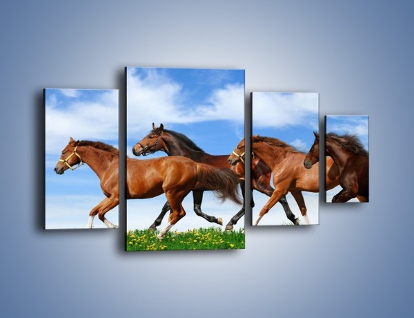 Obraz na płótnie – Galopujące stado brązowych koni – czteroczęściowy Z172W4