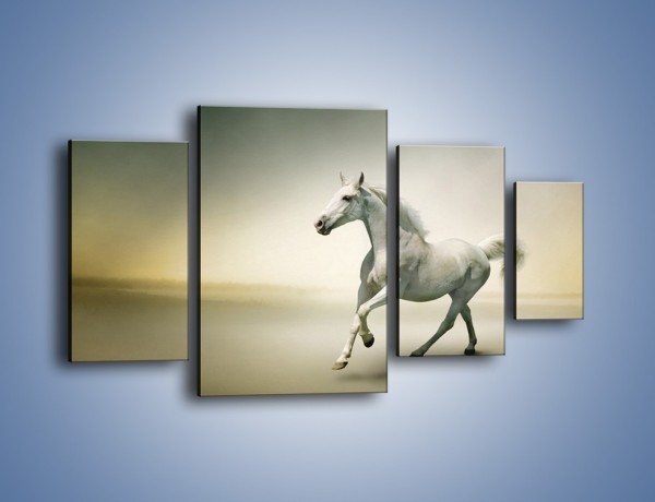 Obraz na płótnie – Samotny wieczór z białym koniem – czteroczęściowy Z175W4