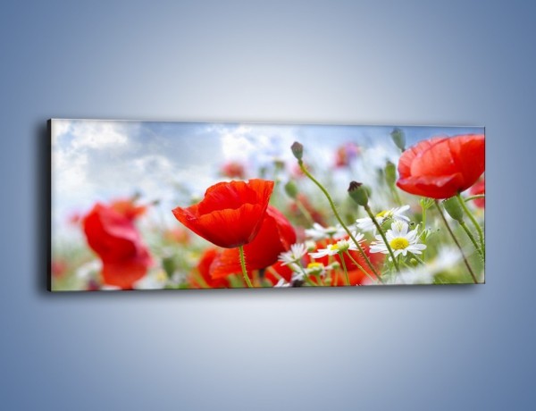 Obraz na płótnie – Polana pełna kwiatów – jednoczęściowy panoramiczny K371