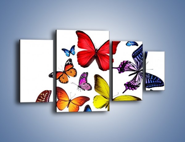 Obraz na płótnie – Kolorowo wśród motyli – czteroczęściowy Z236W4