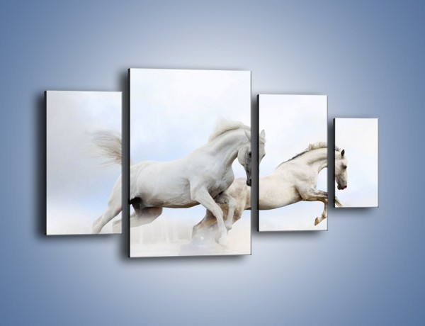 Obraz na płótnie – Białe konie i biały śnieg – czteroczęściowy Z239W4