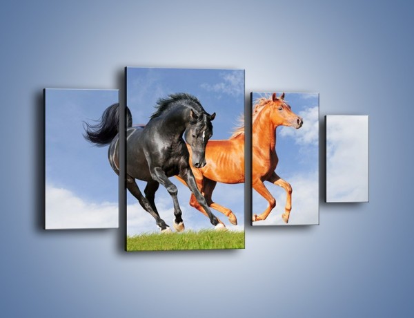 Obraz na płótnie – Czarny rudy i koń – czteroczęściowy Z241W4