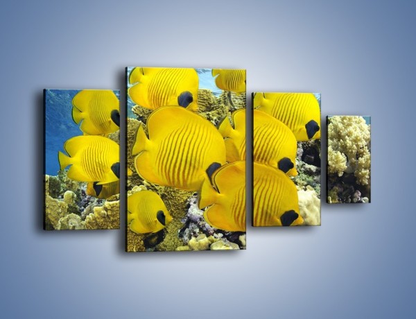 Obraz na płótnie – Słoneczne ryby w oceanie – czteroczęściowy Z252W4