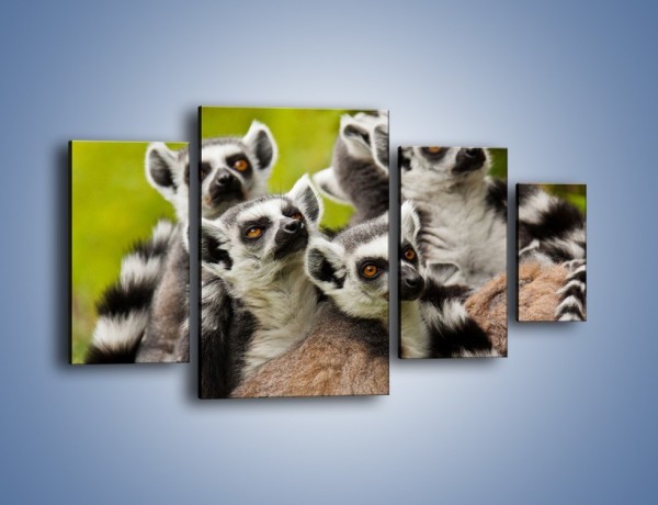 Obraz na płótnie – Wszystko wiedzące lemury – czteroczęściowy Z259W4