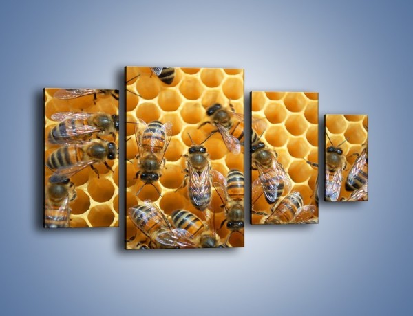Obraz na płótnie – Pszczoły na plastrze miodu – czteroczęściowy Z265W4