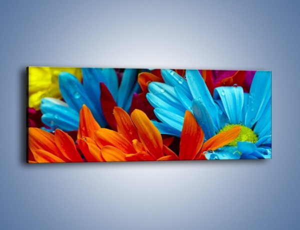 Obraz na płótnie – Kolorowo i kwiatowo – jednoczęściowy panoramiczny K375