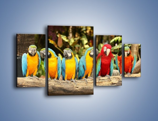 Obraz na płótnie – Sześć papug czeka na siódmego – czteroczęściowy Z279W4