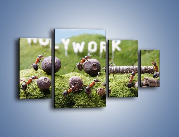 Obraz na płótnie – Ciężka praca mrówek – czteroczęściowy Z308W4