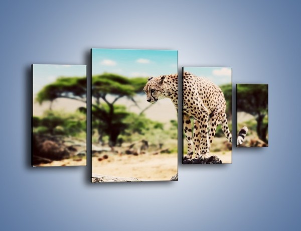 Obraz na płótnie – Cała zwinność geparda – czteroczęściowy Z315W4
