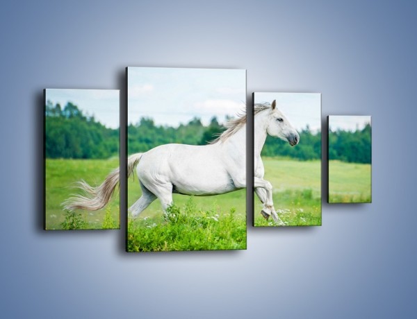 Obraz na płótnie – Biały koń i leśna polana – czteroczęściowy Z317W4