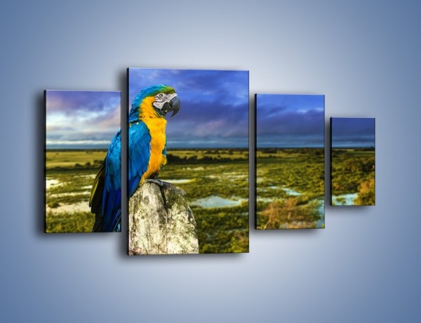 Obraz na płótnie – Papuga w kolorze wzburzonego nieba – czteroczęściowy Z320W4