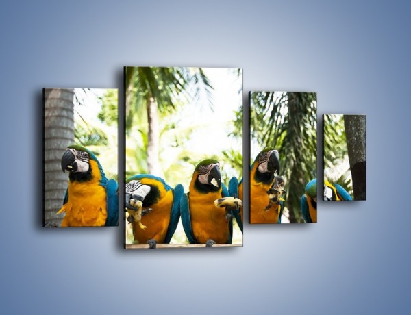 Obraz na płótnie – Piknik z papugami – czteroczęściowy Z322W4