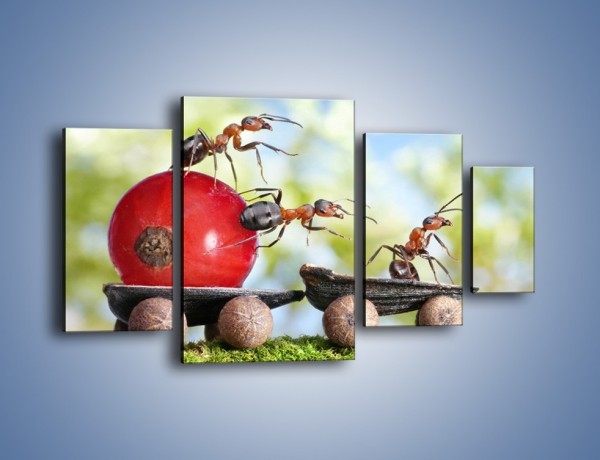 Obraz na płótnie – Mrówki i ich powóz – czteroczęściowy Z325W4