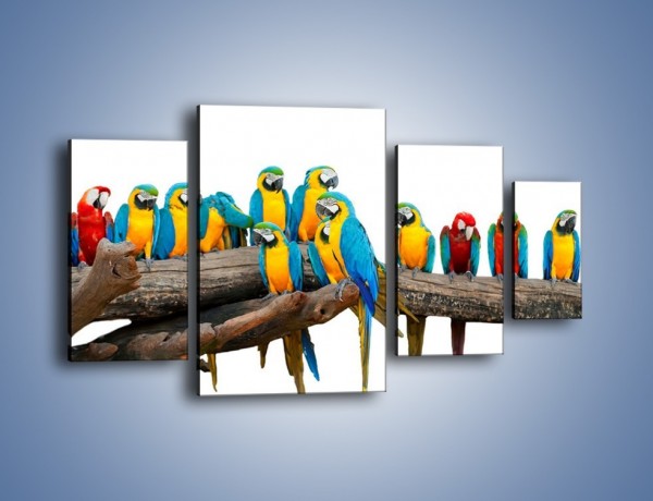 Obraz na płótnie – Kolorowe stado papug – czteroczęściowy Z326W4