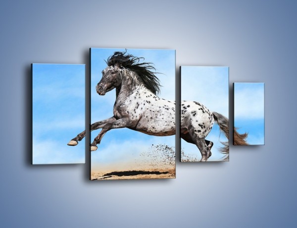 Obraz na płótnie – Rzadko spotykany okaz konia – czteroczęściowy Z329W4