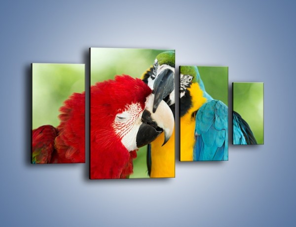 Obraz na płótnie – Miłość między papugami – czteroczęściowy Z333W4