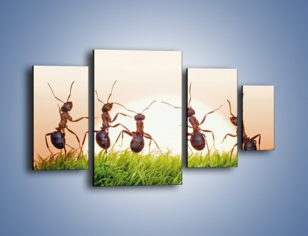 Obraz na płótnie – Taniec mrówek na trawie – czteroczęściowy Z338W4