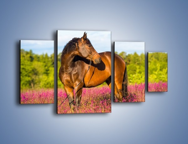 Obraz na płótnie – Koń w lawendowym polu – czteroczęściowy Z340W4