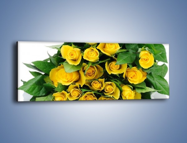 Obraz na płótnie – Wiosenny uśmiech w różach – jednoczęściowy panoramiczny K379