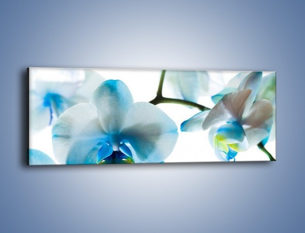 Obraz na płótnie – Turkus w kwiatach – jednoczęściowy panoramiczny K382