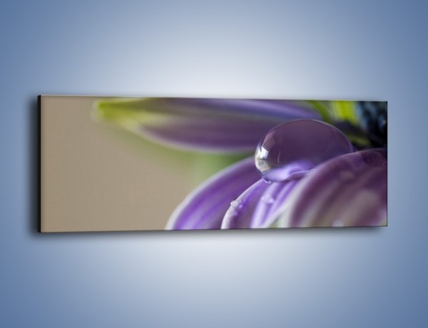 Obraz na płótnie – Kropla wody na płatku – jednoczęściowy panoramiczny K402