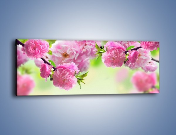 Obraz na płótnie – Gałąź chińskiej wiśni – jednoczęściowy panoramiczny K403