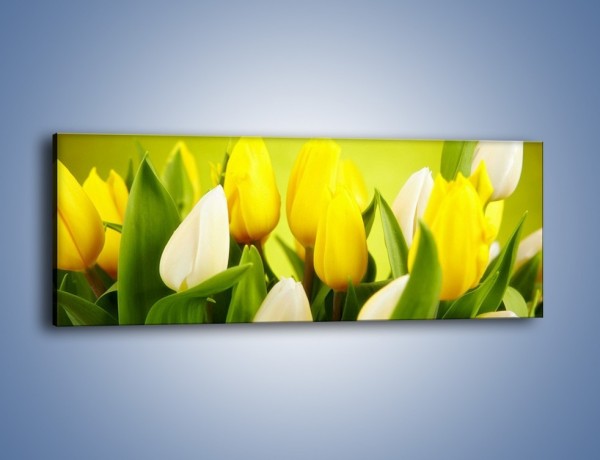 Obraz na płótnie – Nie tylko tulipany – jednoczęściowy panoramiczny K425