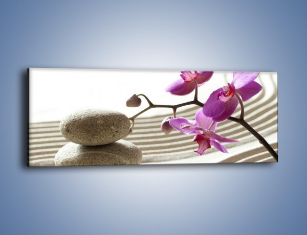 Obraz na płótnie – Kamień piasek i kwiat – jednoczęściowy panoramiczny K435