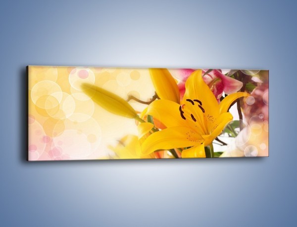 Obraz na płótnie – Pospolita lilia – jednoczęściowy panoramiczny K454