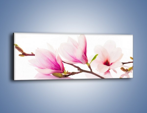 Obraz na płótnie – Lekkość w kwiatach wiśni – jednoczęściowy panoramiczny K485