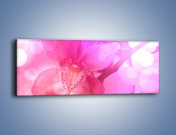 Obraz na płótnie – Budzący dzień w różowym kwiecie – jednoczęściowy panoramiczny K487