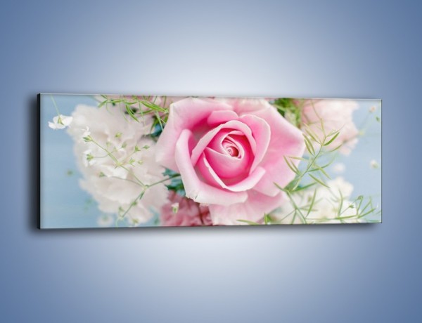 Obraz na płótnie – Róża z przesłaniem – jednoczęściowy panoramiczny K493