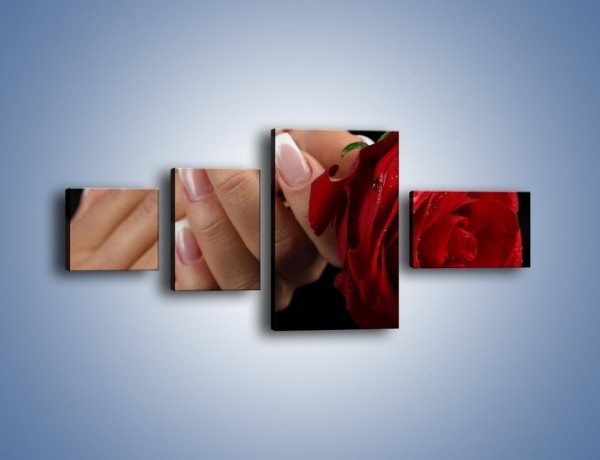 Obraz na płótnie – Kwiat róży w kobiecych dłoniach – czteroczęściowy K006W5