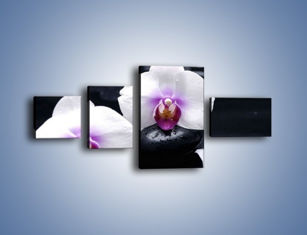 Obraz na płótnie – Główki białych storczyków – czteroczęściowy K024W5