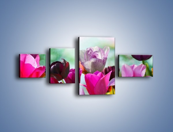 Obraz na płótnie – Tulipany o poranku – czteroczęściowy K081W5